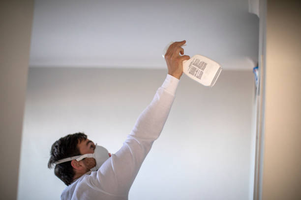 Best Water Damage Restoration  in Sanborn, NY